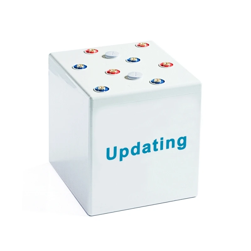 2V Sealed Lead Acid Battery
